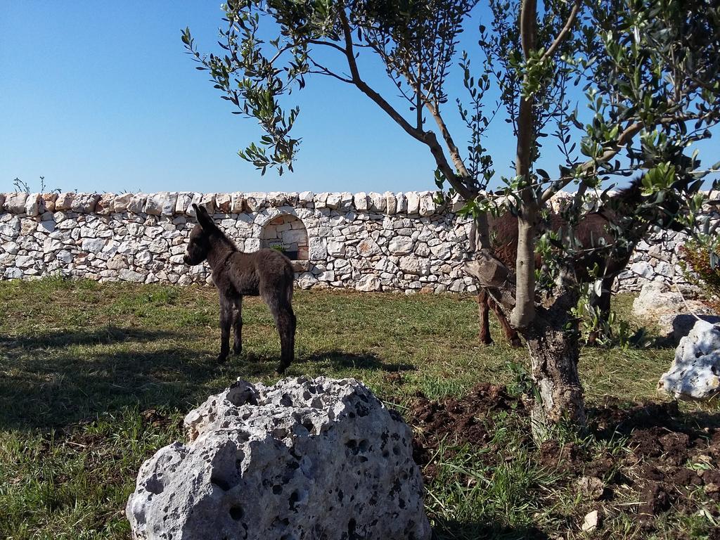 Agriturismo Masseria Casedde Vecchie Villa Martina Franca Dış mekan fotoğraf